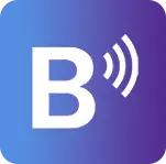 brightsign media player icon